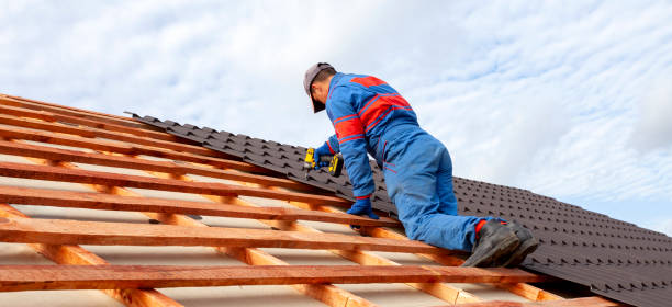 Best Asphalt Shingle Roofing  in Rion Center, MA
